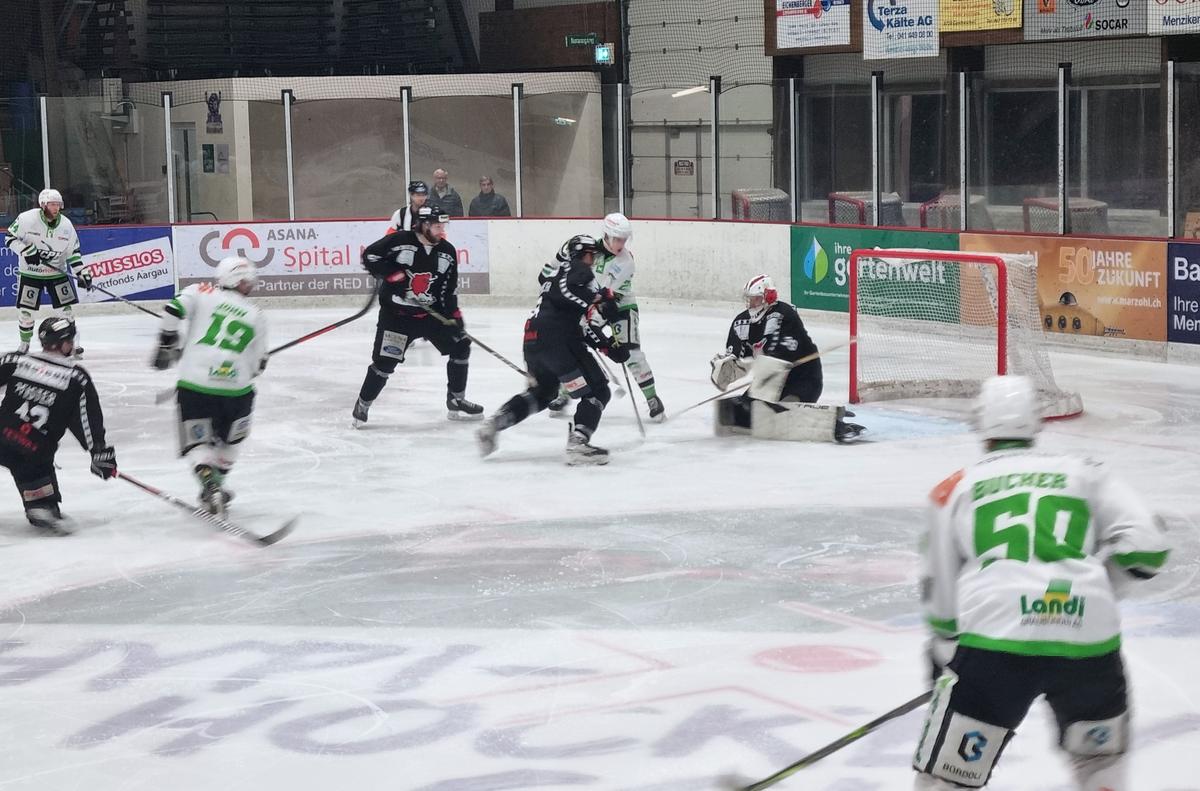 HCPH gewinnt gegen Red Lions und sind im Halfinale.