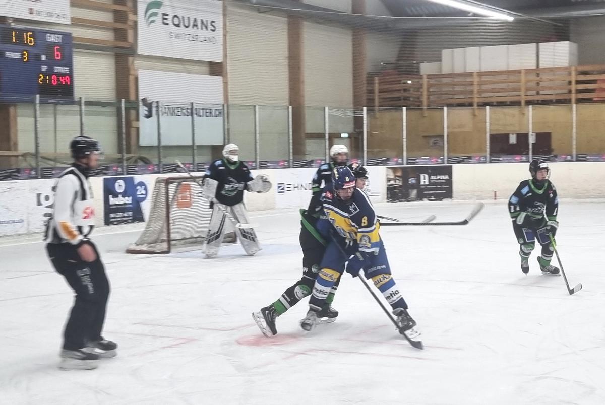 HCPH unterliegt Uzwil mit 2:6 scheitert in der Aufstiegsrunde.