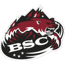 Bäretswiler SC